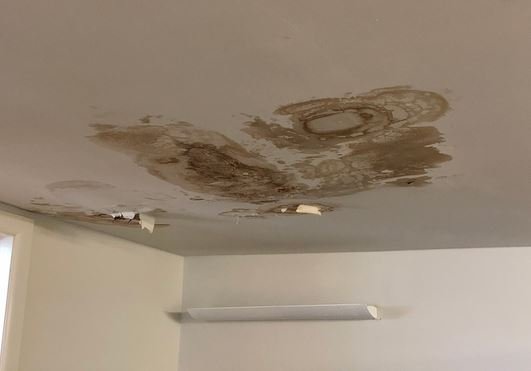 roof leaks in heavy rain