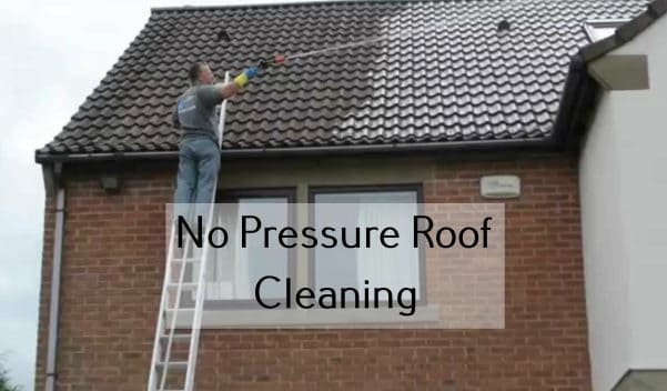 No Pressure Roof Cleaning