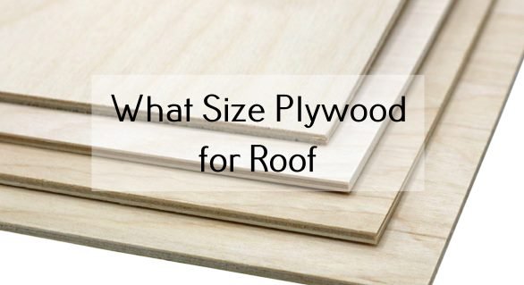 What Size Plywood for Roof