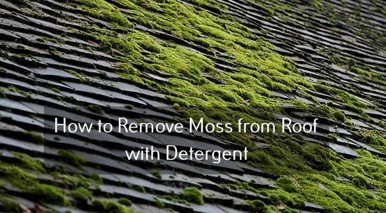 best moss treatment for roofs