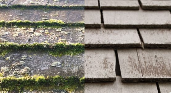 How to Remove Moss from Roof with wet and forget
