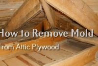 How to Remove Mold from Attic Plywood