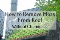 How-to-Remove-Moss-From-Roof-Without-Chemicals How to Remove Moss from Roof without Chemicals