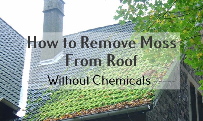 How to Remove Moss From Roof Without Chemicals