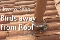 how to keep birds away from roof