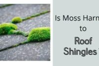 is moss harmful to roof shingles