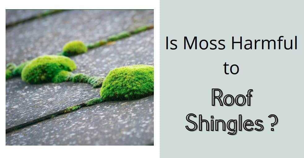 is moss harmful to roof shingles