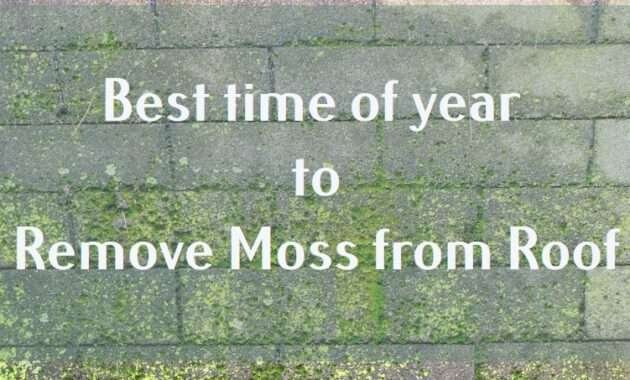 best time of year to remove moss from roof