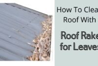 roof-rake-for-leaves roof rake for leaves