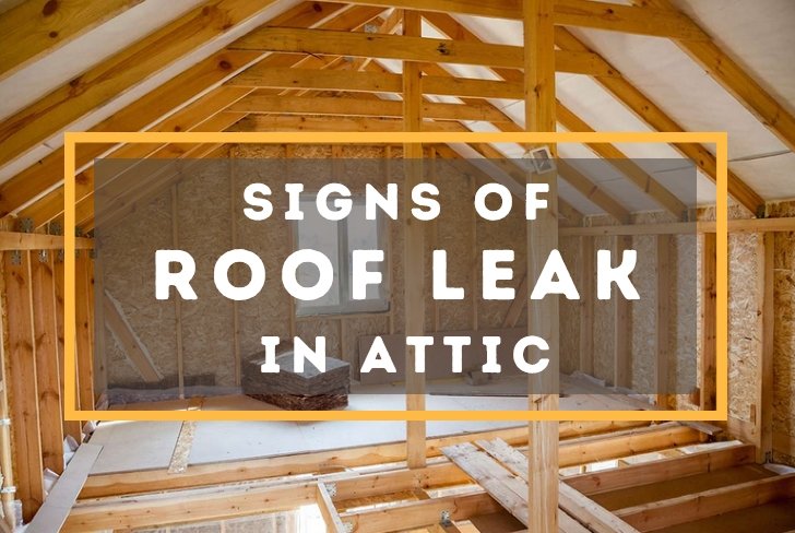 signs of roof leak in attic